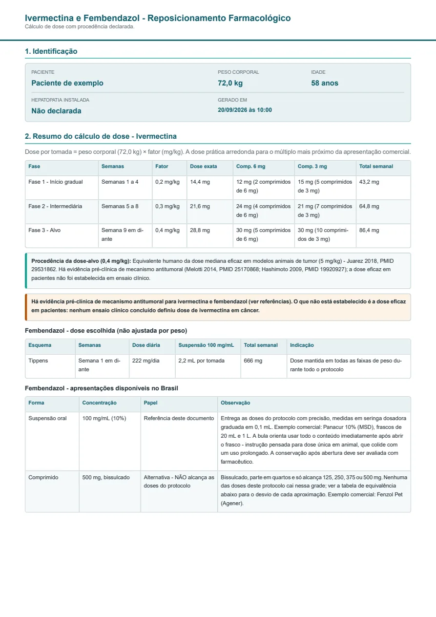 Primeira página do documento em PDF gerado pela calculadora