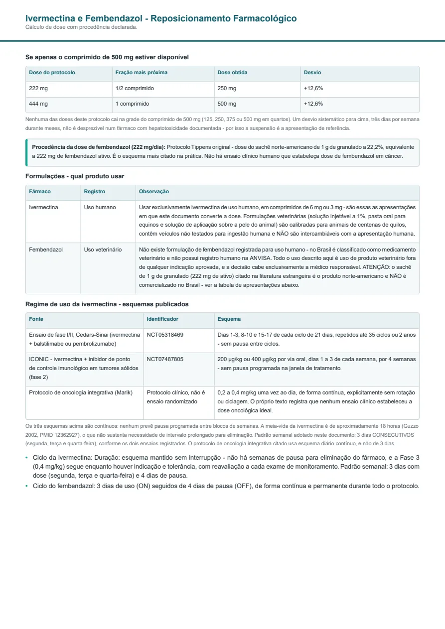 Página do documento de exemplo 2